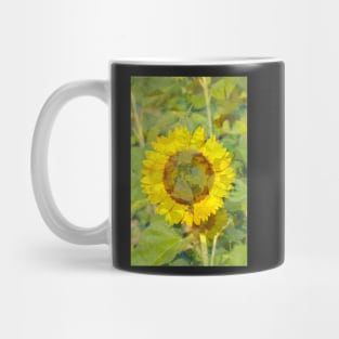 Sunflower, sunflower, abstract, (Helianthus annuus) Mug